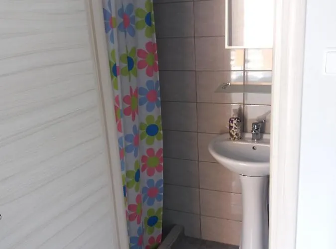 Roses * Nea Moudania