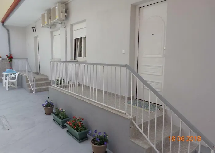 Roses * Nea Moudania